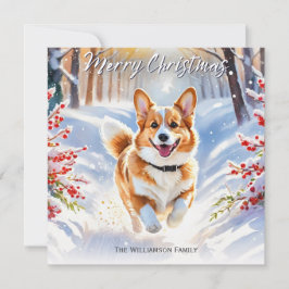 Pembroke Welsh Corgi Hund im Schnee Weihnachten