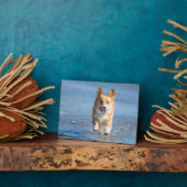 Pembroke Welsh Corgi Hund läuft am Strand Fotoplatte (Seite)