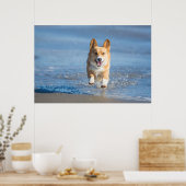 Pembroke Welsh Corgi Hund läuft am Strand Poster (Küche)