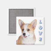 Pembroke Welsh Corgi Liebe Kühlschrank Magnet (Vorderseite/Rückseite)