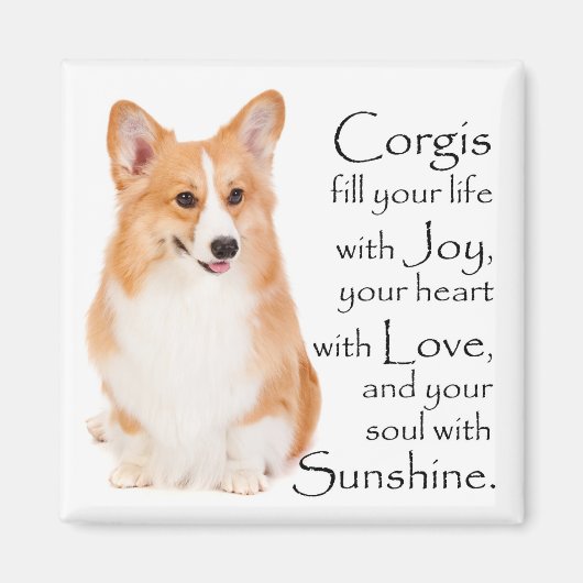 Pembroke Welsh Corgi Magnet #1 (Vorne)