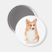 Pembroke Welsh Corgi Magnet #2 (Vorderseite/Rückseite)