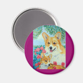Pembroke Welsh Corgi Magnets Magnet (Vorderseite/Rückseite)