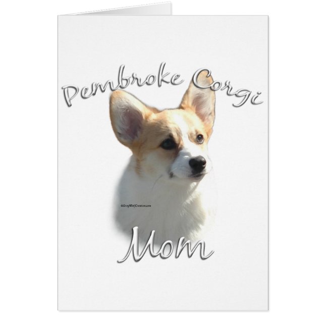 Pembroke Welsh Corgi Mama 2 (Vorne)