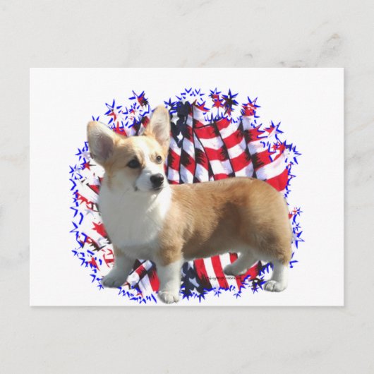 Pembroke Welsh Corgi Patriot Postkarte (Vorderseite)