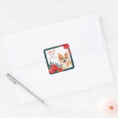 Pembroke Welsh Corgi Poinsettia Weihnachten Quadratischer Aufkleber (Umschlag)