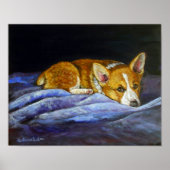 Pembroke Welsh Corgi Poster Print (Vorne)