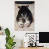Pembroke Welsh Corgi Puppy 2 Poster (Heimbüro)
