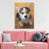 Pembroke Welsh Corgi Puppy 3 Leinwanddruck (Insitu (Wohnzimmer))