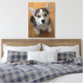 Pembroke Welsh Corgi Puppy 3 Leinwanddruck (Insitu (Schlafzimmer))