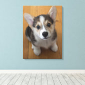 Pembroke Welsh Corgi Puppy 3 Leinwanddruck (Insitu (Holzboden))