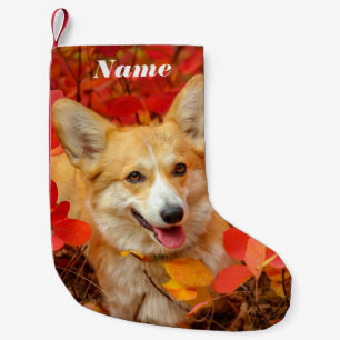 Pembroke Welsh Corgi Puppy Dog in Red Blätter Kleiner Weihnachtsstrumpf