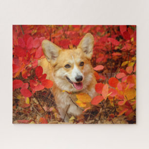 Pembroke Welsh Corgi Puppy Dog in Red Blätter Puzzle