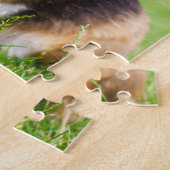 Pembroke Welsh Corgi Puppy Dog Puzzle (Seite)