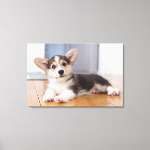 Pembroke Welsh Corgi Puppy Leinwanddruck