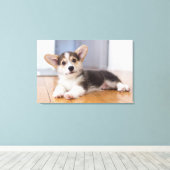 Pembroke Welsh Corgi Puppy Leinwanddruck (Insitu (Holzboden))