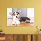 Pembroke Welsh Corgi Puppy Leinwanddruck (Insitu (Wohnzimmer))