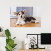 Pembroke Welsh Corgi Puppy Poster (Heimbüro)