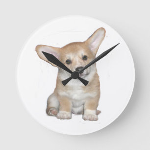 Pembroke Welsh Corgi Puppy Runde Wanduhr