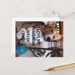 Pembroke Welsh Corgi Rehbraun Liebe mit Bild Postkarte