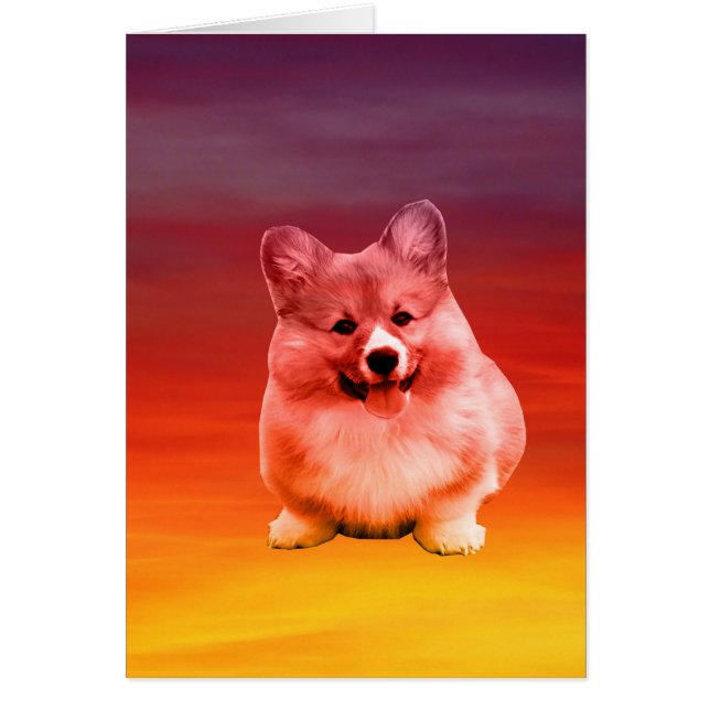 Pembroke Welsh Corgi sitzt am Strand (Vorne)