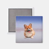 Pembroke Welsh Corgi sitzt am Strand Magnet (Vorderseite/Rückseite)