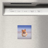 Pembroke Welsh Corgi sitzt am Strand Magnet (In Situ (Geschirrspüler))