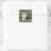 Pembroke Welsh Corgi Stickers (Tasche)