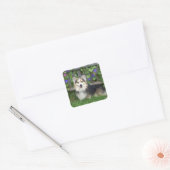 Pembroke Welsh Corgi Stickers (Umschlag)
