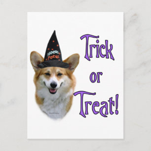 Pembroke Welsh Corgi Trick Postkarte