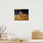 Pembroke Welsh Corgi Wall Print Poster (Küche)