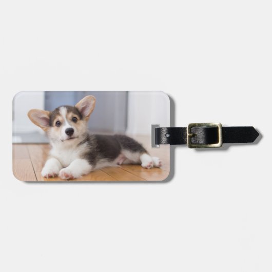 Pembroke Welsh Corgi Welpe Gepäckanhänger (Vorderseite horizontal)