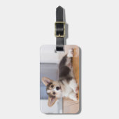 Pembroke Welsh Corgi Welpe Gepäckanhänger (Vorderseite vertikal)