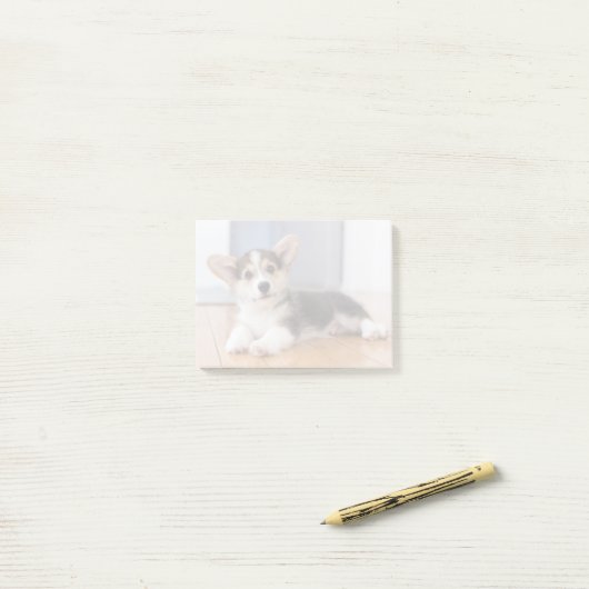 Pembroke Welsh Corgi Welpe Post-it Klebezettel (Auf Schreibtisch)