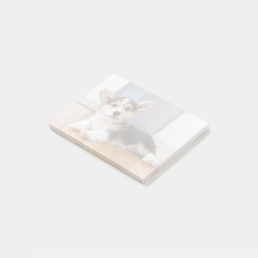 Pembroke Welsh Corgi Welpe Post-it Klebezettel (angewinkelt)