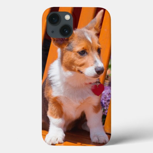 Pembroke Welsh Corgi Welpe sitzt auf Parkbank Case-Mate iPhone Hülle (Rückseite)