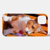 Pembroke Welsh Corgi Welpe sitzt auf Parkbank Case-Mate iPhone Hülle (Rückseite (Horizontal))