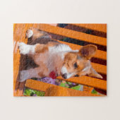 Pembroke Welsh Corgi Welpe sitzt auf Parkbank Puzzle (Horizontal)
