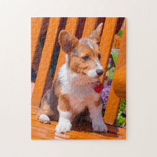 Pembroke Welsh Corgi Welpe sitzt auf Parkbank Puzzle (Vertikal)