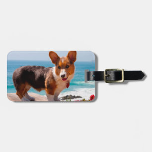 Pembroke Welsh Corgi-Welpe steht auf einem Tisch Gepäckanhänger