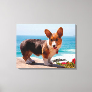 Pembroke Welsh Corgi-Welpe steht auf einem Tisch Leinwanddruck
