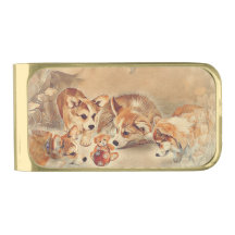 Pembroke Welsh Corgi Welppies