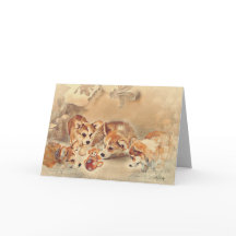 Pembroke Welsh Corgi Welppies