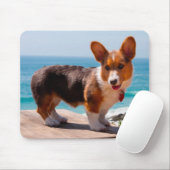 Pembroke Welsh Corgi Welppy auf dem Tisch stehend Mousepad (Mit Mouse)