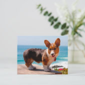 Pembroke Welsh Corgi Welppy auf dem Tisch stehend Postkarte (Stehend Vorderseite)