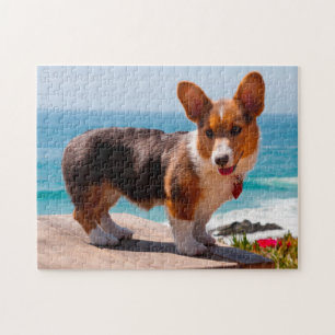 Pembroke Welsh Corgi Welppy auf dem Tisch stehend Puzzle