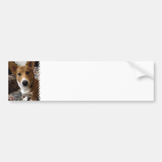 Pembrokecorgi-Autoaufkleber Autoaufkleber (Vorne)