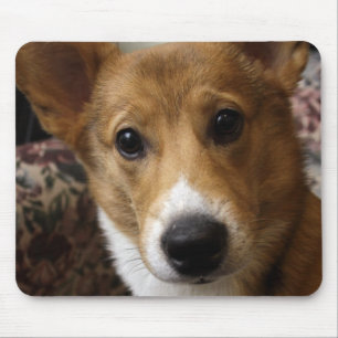 Pembrokecorgi-Mausunterlage Mousepad