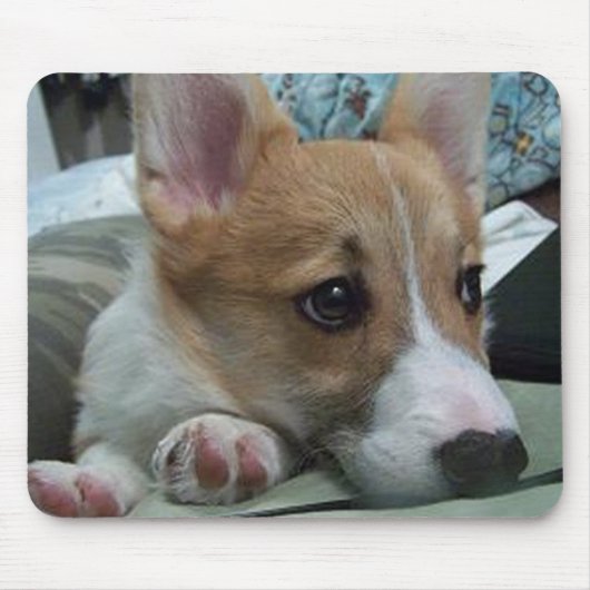 Pembrokewalisercorgiwelpe 2 mousepad (Vorne)