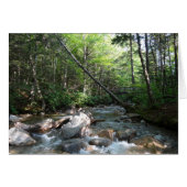 Pemigewasset River Bridge in New Hampshire (Vorderseite (Horizontal))